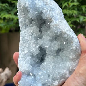 以下が含まれることがあります： 淡い青色の半透明で尖った結晶のクラスターを持つ大きなセレスタイトのジオード。外側は粗いライトグレーの岩石のような殻で覆われており、結晶構造が多面的な表面を持つ深く空洞になった内部を形成しています。
