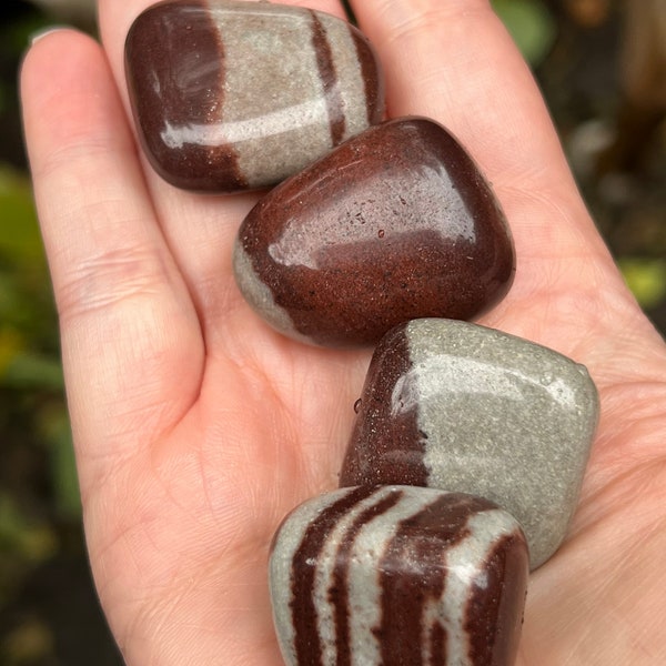 Narmada Shiva Tumblestone AAA+ Holy Mountain Stone India 20/30mm
