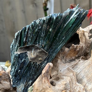 Vivianite Crystal Large Rare Green Specimen Like an Angel Wing 1