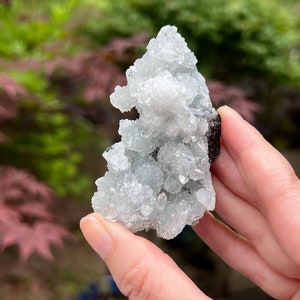 Apophyllite Sparkly Pointed Cluster Crystal AAA+ 136