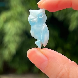 Larimar Owl Deep Blue Dolphin Stone  AAA+ : Peace / Love / Tranquility 1