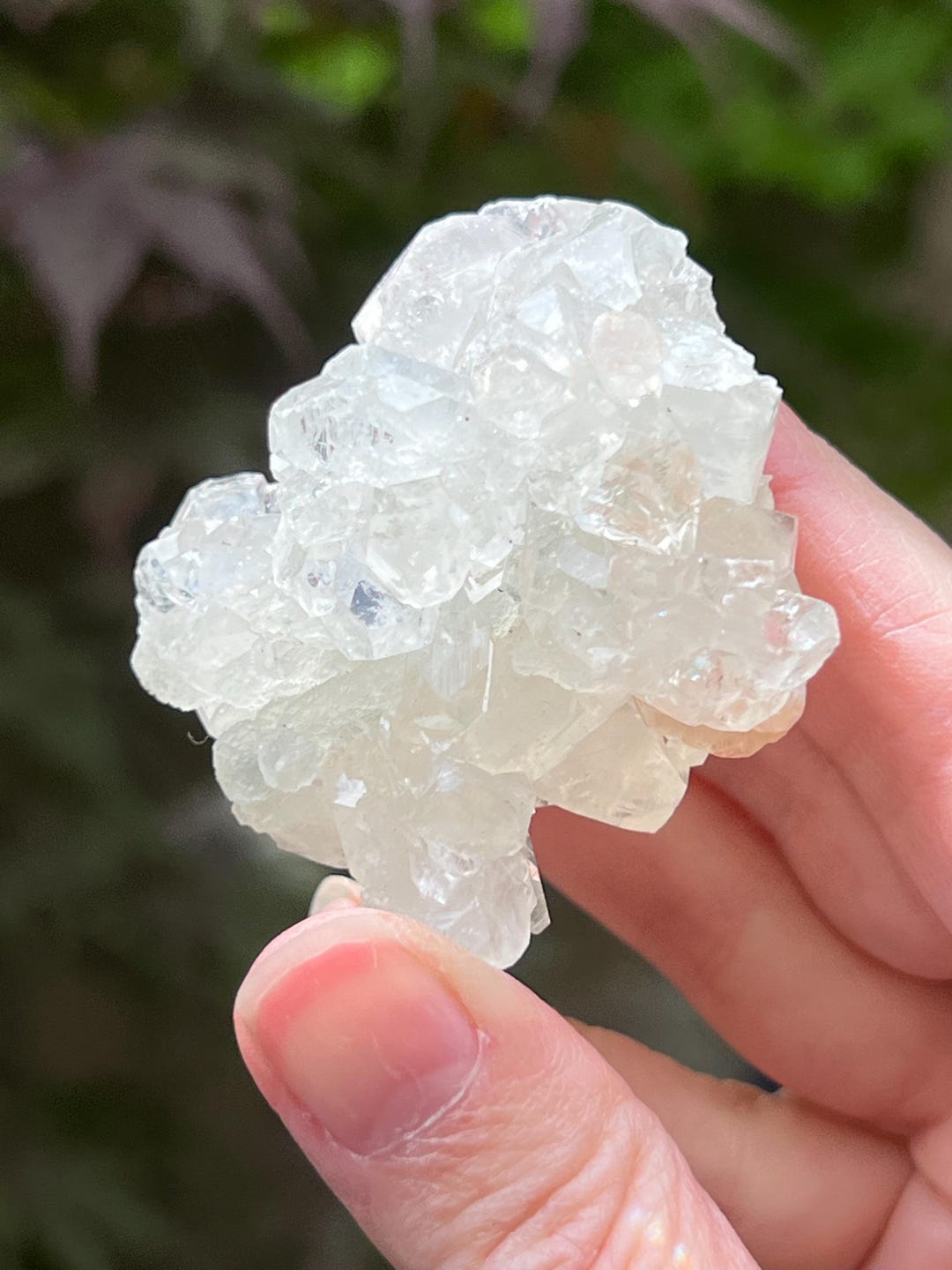 Apophyllite gemme sur Heulandite | rockmineralvalley
