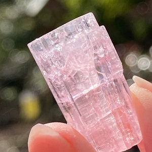 Pink Paprok Bubblegum Tourmaline Gemmy Rod AAA+ Love / Tenderness / Friendship 9