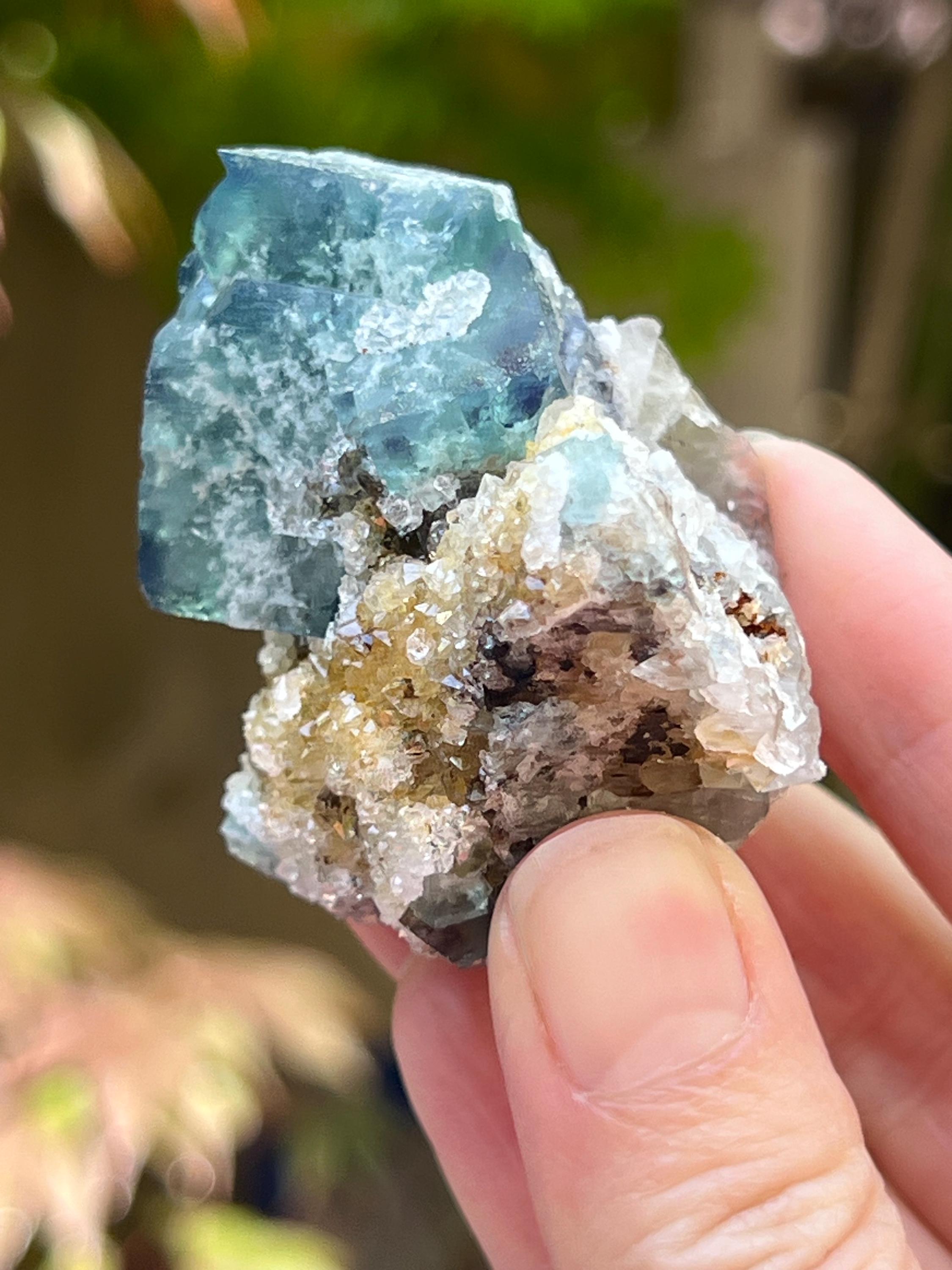 Diana Maria Mine Yum Yum Pocket Fluorite Cluster UV AB28 Rare