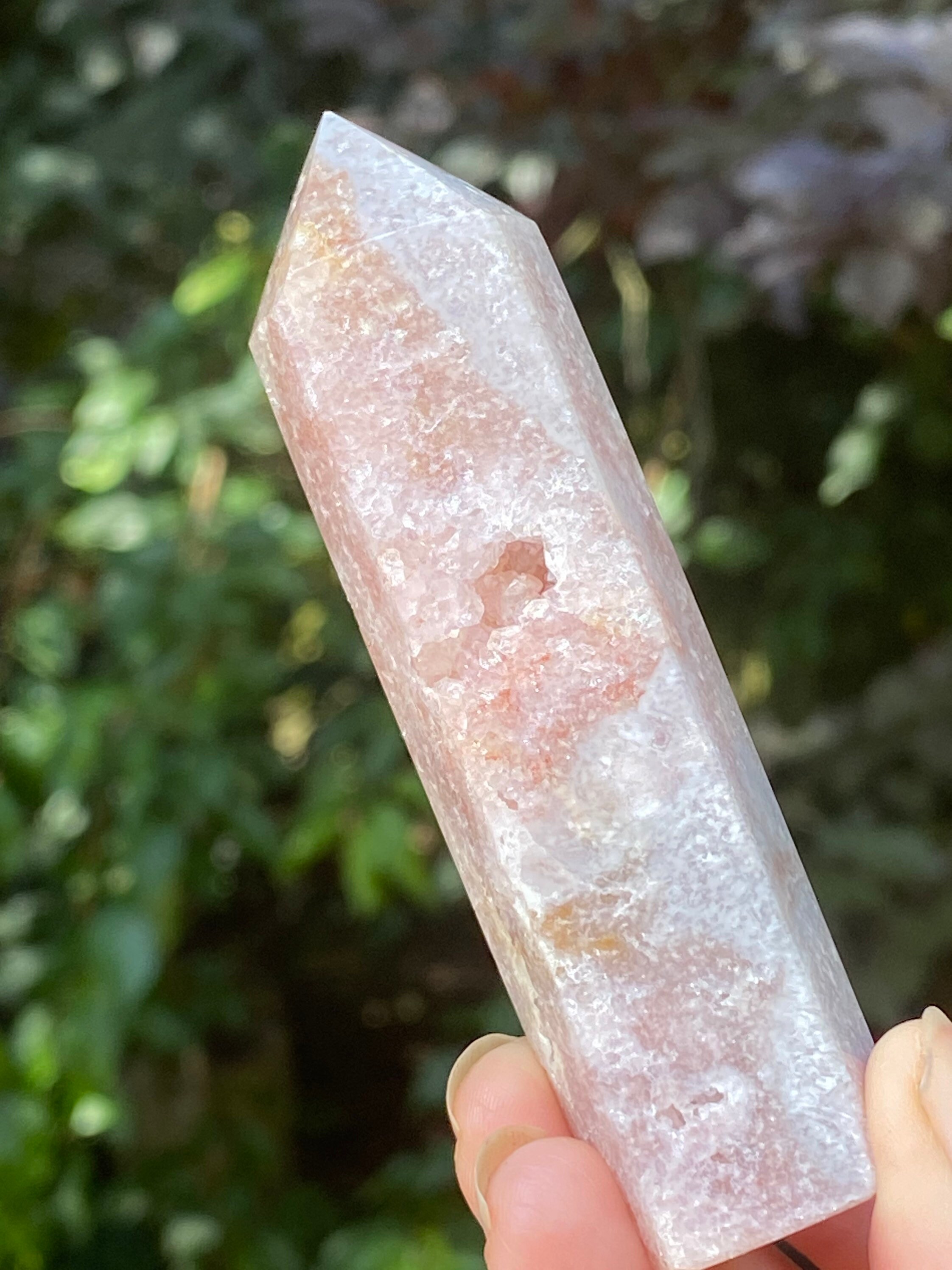 Baguette Brésilienne