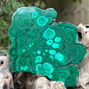 Malachite Specimen Slice AAA+ : Emotional Healing / Protection 117 853g