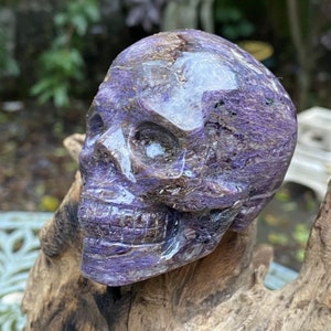 Large Charoite Skull Rare AAA+ : Unconditional Love / Transformation 344g 2