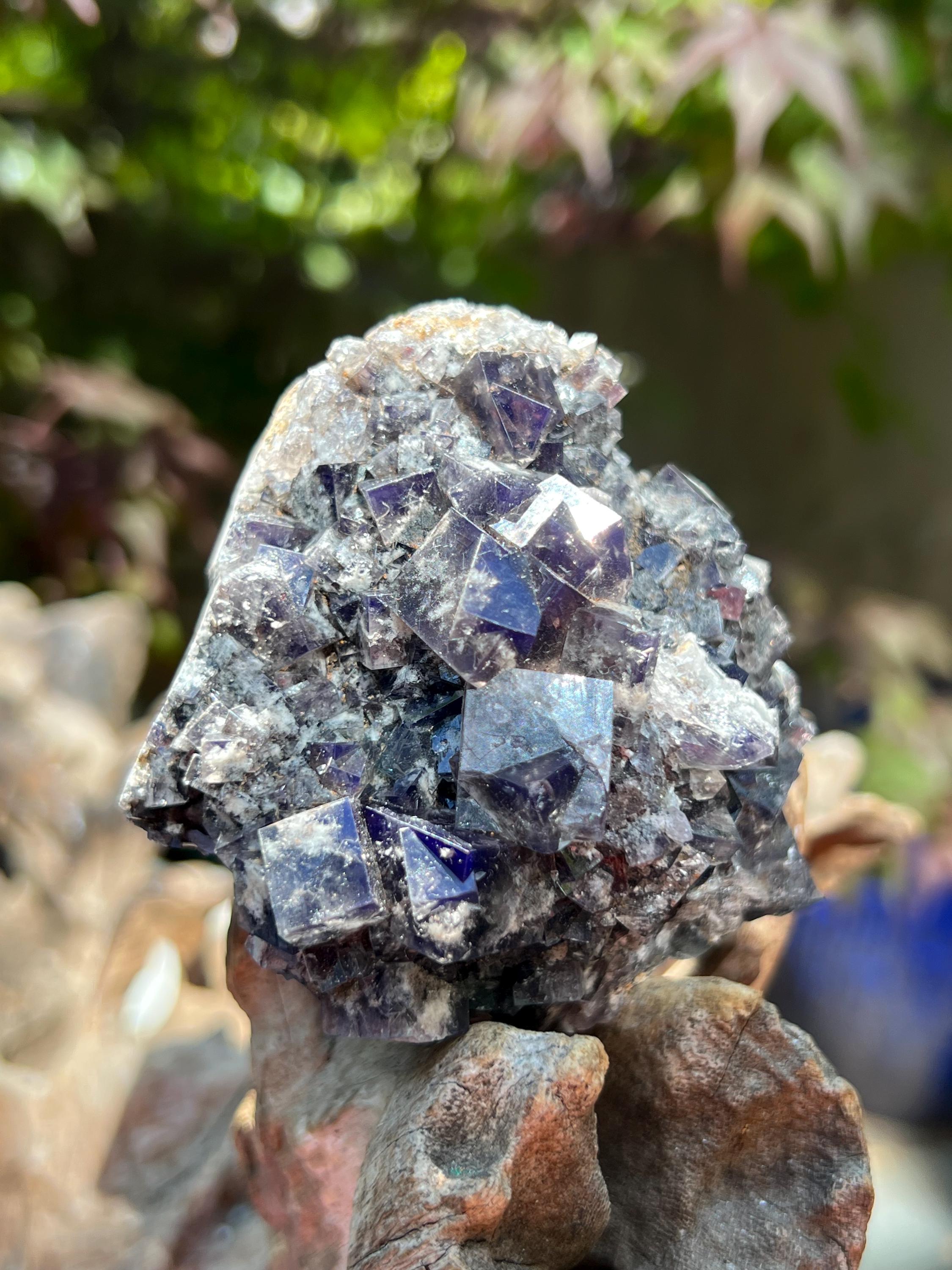 Diana Maria Smoky Rabbit Pocket フローライト Diana Maria Mine Smoky Rabbit Pocket Fluorite Cluster UV