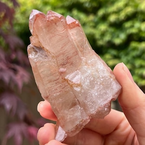 Pode incluir: Um aglomerado de cristais de quartzo transparente com inclusões castanho-avermelhadas. Os cristais são segurados em uma mão, com um fundo verde e vermelho desfocado. O quartzo tem uma textura natural e áspera e uma forma pontiaguda.