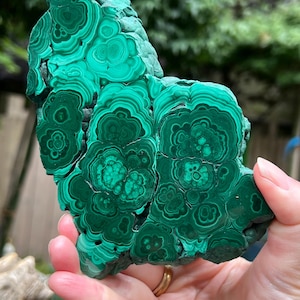 Malachite Specimen Slice AAA+ : Emotional Healing / Protection 495g 103