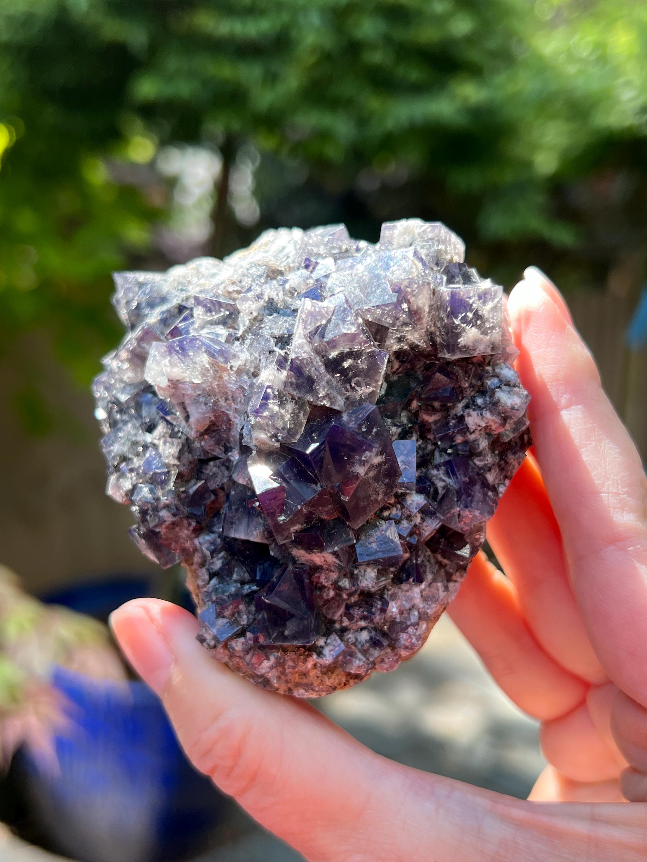 Diana Maria mine Smoky Rabbit Pocket 蛍石 Diana Maria Mine Smoky Rabbit Pocket Fluorite Cluster UV