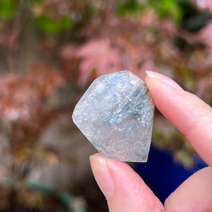 Amphibole Quartz / Angel Wing Phantom Quartz Freeform 32