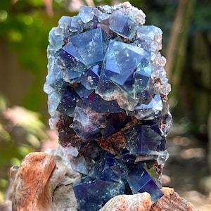 Diana Maria Mine Fairy Holes Pocket Fluorite Cluster UV AB27 Rare Display Box