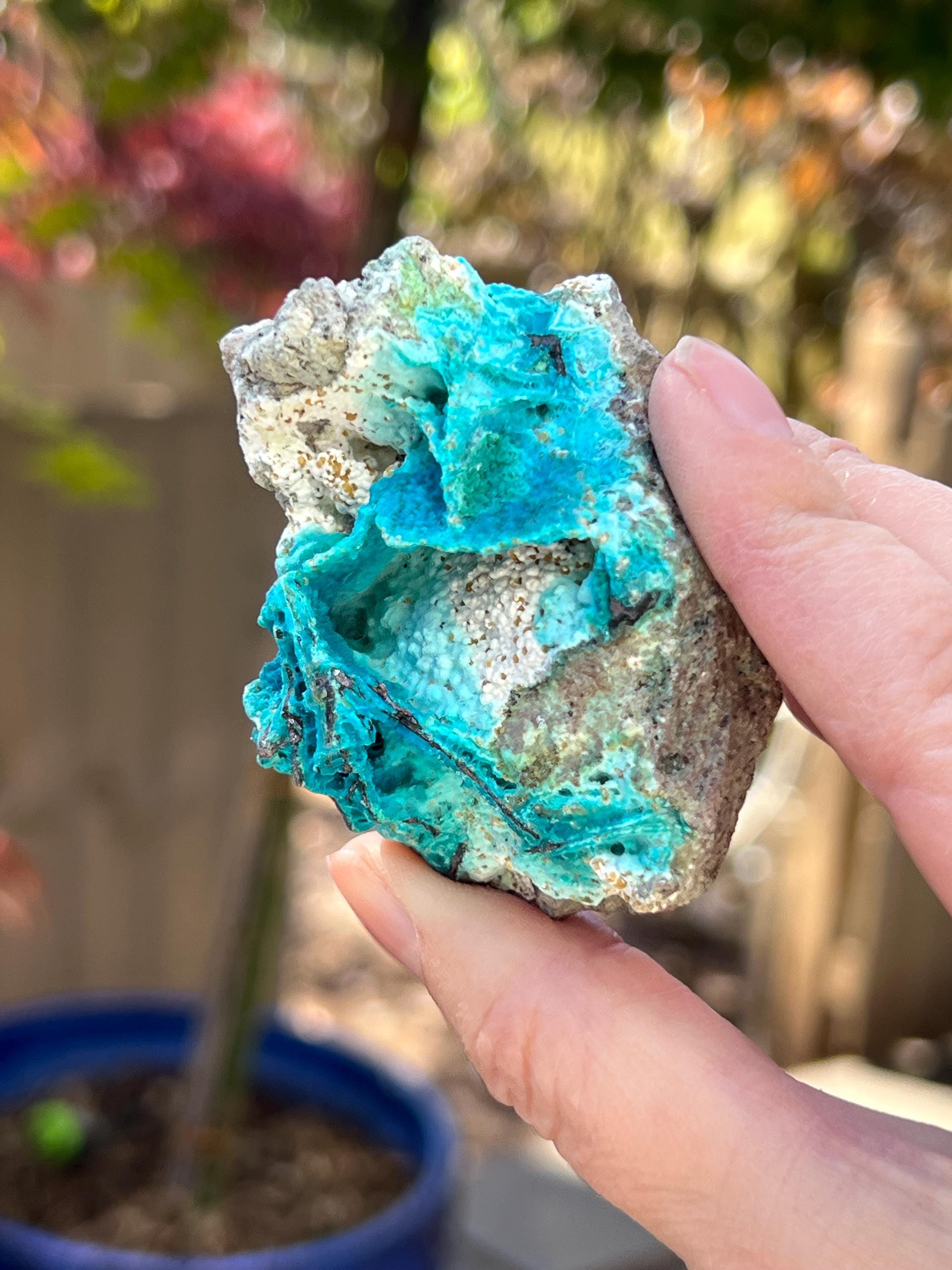 クリソコラ水晶天然未研磨原石標本（銅入り）7個 - Etsy 日本