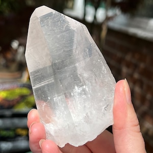 Large Clear Lemurian Seed Clear Quartz Crystal Fine Grade 233g 99