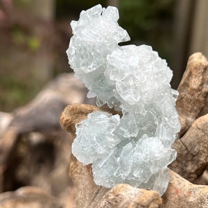 Apophyllite Sparkly Pointed Cluster Crystal AAA+ 141