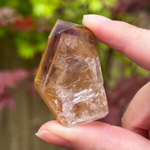 Dream lemurian - Etsy 日本