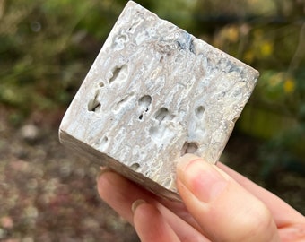Rare Zebra Agate Stacking Cube AAA+ Abundance/Optimism/Strengthening 5