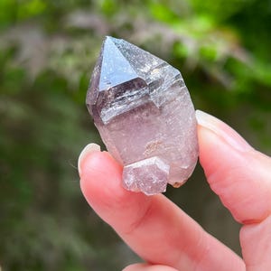 Puede incluir: Un cristal de amatista natural con una punta morada oscura y un cuerpo morado más claro. El cristal se sostiene contra un fondo verde borroso. El cristal tiene un pequeño cristal adjunto en su base.