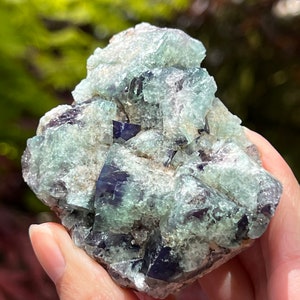 Diana Maria Mine Naughty Gnome Pocket UK Fluorite Purple Green Blue Cluster Matrix UV Reactive : Clarity / Purity / Stability 16
