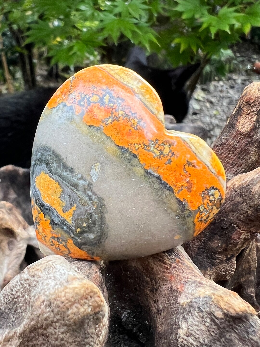 Paula Carvalho Bumblebee Jasper Heart main image 1