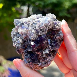 Diana Maria Mine Smoky Rabbit Pocket Fluorite Cluster UV AB22 Rare