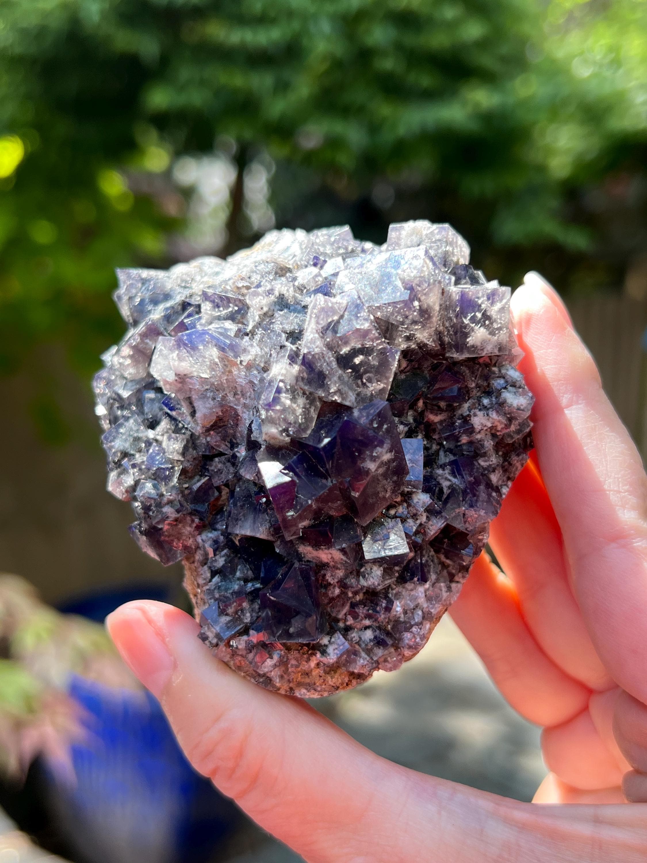 Diana Maria mine Smoky Rabbit Pocket 蛍石 Diana Maria Mine Smoky Rabbit Pocket Fluorite Cluster UV