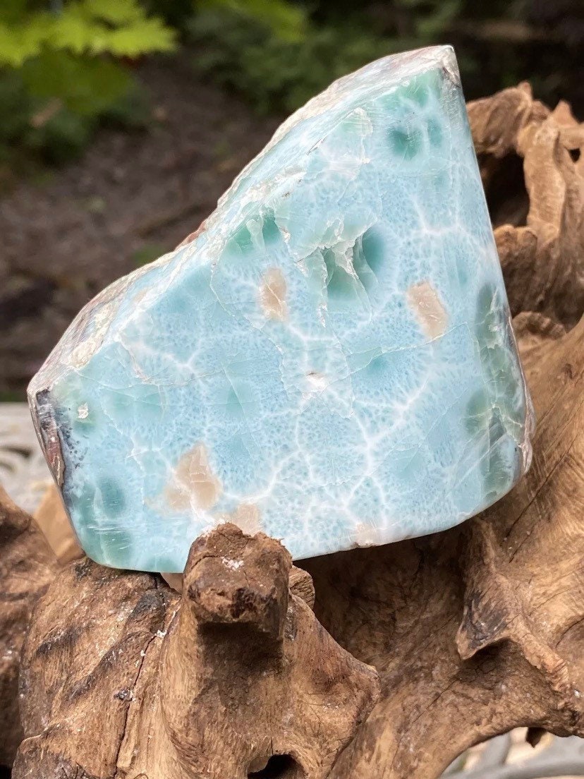 Large Larimar Round Chunk Slice Dolphin Stone 462g 2 AAA+ : Peace