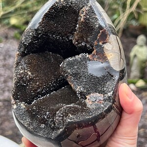 Septarian Crystal Egg : Joy Bringer / Nurturer / Balancing 2551g 3