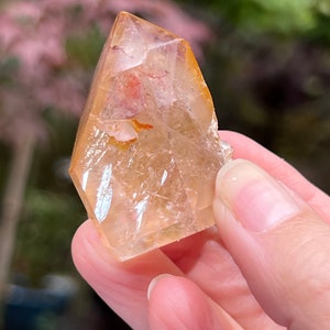 Dreamcoat Lemurian Seed Cristal de Quartzo Transparente Grau AAA+ 38g 110
