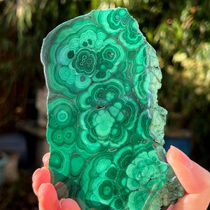 Malachite Specimen Slice AAA+ : Emotional Healing / Protection 420g 73
