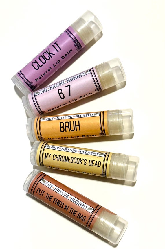 Gen Alpha/Gen Z Lip Balms skibidi rizz gyat bruh knee surgery brainrot sigma  67 6 7 aura main character my chromebook's dead teacher gift