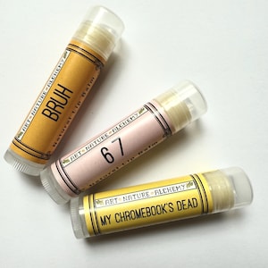 Gen Alpha/Gen Z Lip Balms skibidi rizz gyat bruh knee surgery brainrot sigma  67 6 7 aura main character my chromebook&#39;s dead teacher gift