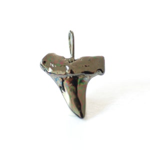 Black Gold Vermeil Shark Tooth- Black gold plated over Sterling Silver, Shark tooth Charm Pendant, Silver Shark Tooth, Shark Tooth 12