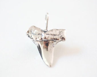Sterling Silver Shark Tooth Pendant,Large Shark tooth, Vermeil or Sterling Silver Shark tooth, Silver Shark tooth Charm 12
