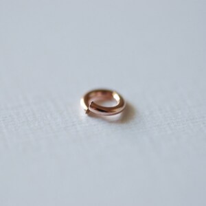 May include: A small, rose gold jump ring. This ring is a jewelry finding used for connecting chains, charms, and other jewelry components.