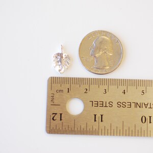 May include: Silver charm in the shape of a monstera leaf, next to a US quarter for size comparison. The charm is about 1 inch long.