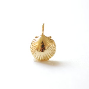 Puede incluir: Un colgante de concha de mar de color dorado. La concha está detallada con crestas y tiene un acabado liso y brillante.