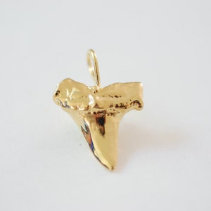 Vermeil Glossy Gold Shark Tooth Pendant, Vermeil gold shark tooth charm,18kt gold plated over sterling silver, vermeil supplies 12