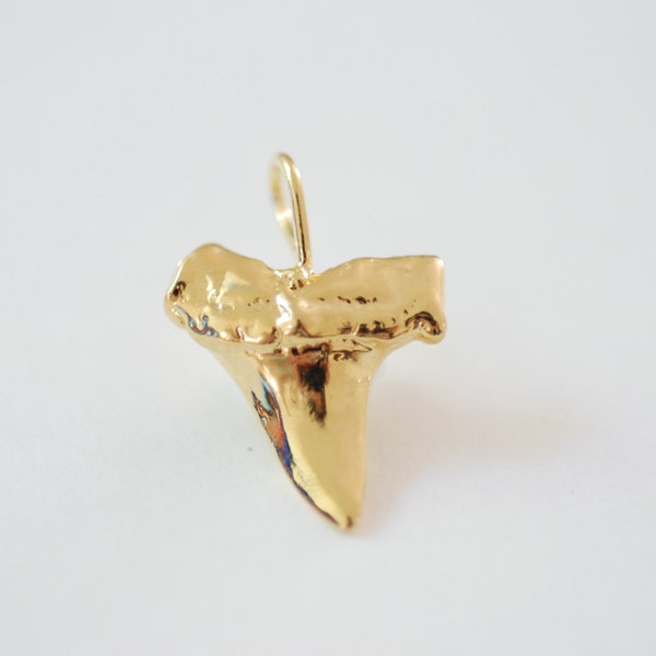 Vermeil Glossy Gold Shark Tooth Pendant, Vermeil or shark tooth charm, 18kt or plaqué sur l’argent sterling, vermeil fournit 12