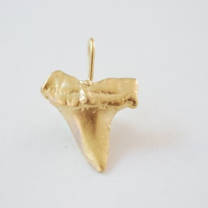 Vermeil Matte Gold Shark Tooth Pendant, Vermeil gold shark tooth charm,18kt gold plated over sterling silver, vermeil supplies 12