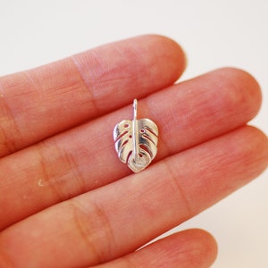 May include: A silver charm in the shape of a monstera leaf. The leaf has a cutout design and is about 1 inch in length.