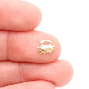 K&ouml;nnte beinhalten: Ein kleiner goldener Krabben-Anh&auml;nger, perfekt, um Schmuck oder Bastelarbeiten mit einem Hauch von Verspieltheit zu versehen.