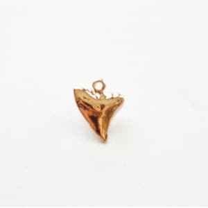 Shiny Pink Rose Gold Vermeil Shark Tooth Charm- Small Vermeil Shark Tooth, , 18k gold over Sterling Silver Shark Tooth, Fish Tooth, 73