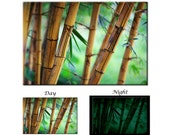 Glow in the Dark Canvas Wall Art - Spring Green Bamboo Forest Canvas Art Print - Ready to Hang