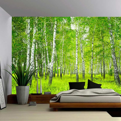 Birch Tree Forest Large Wall Mural Selfadhesive Vinyl Etsy