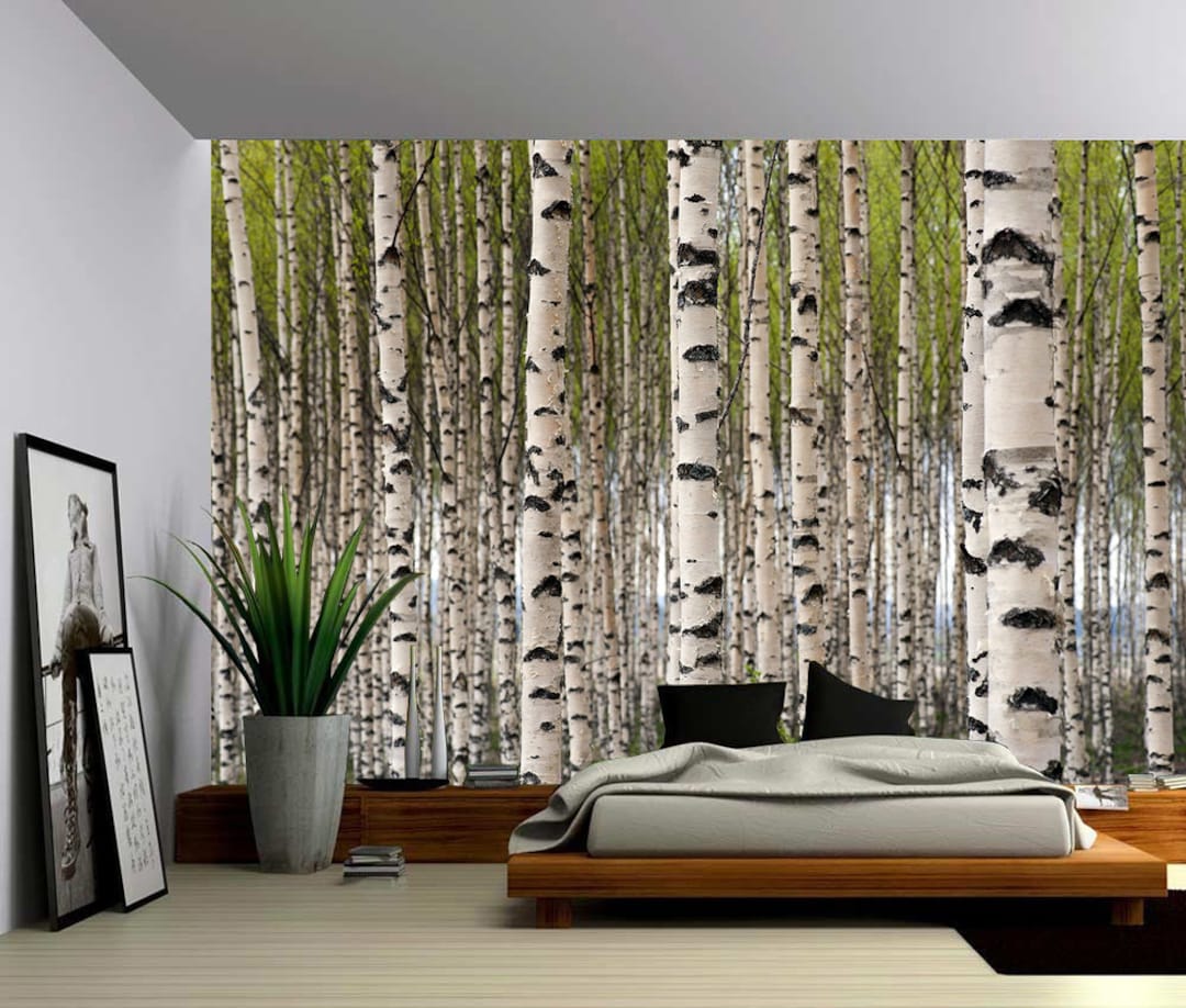 Birch Tree Forest Large Wall Mural, Selfadhesive Vinyl Wallpaper, Peel