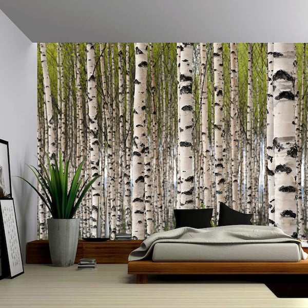 Birch Tree Forest - Large Wall Mural, Self-adhesive Vinyl Wallpaper, Peel & Stick fabric wall decal