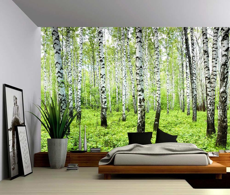 Birch Tree Forest Large Wall Mural Self-adhesive Vinyl | Etsy