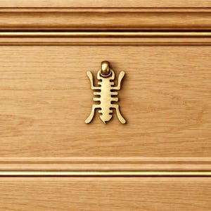 Bouton heurtoir de porte ou de tiroir "Scarabée"